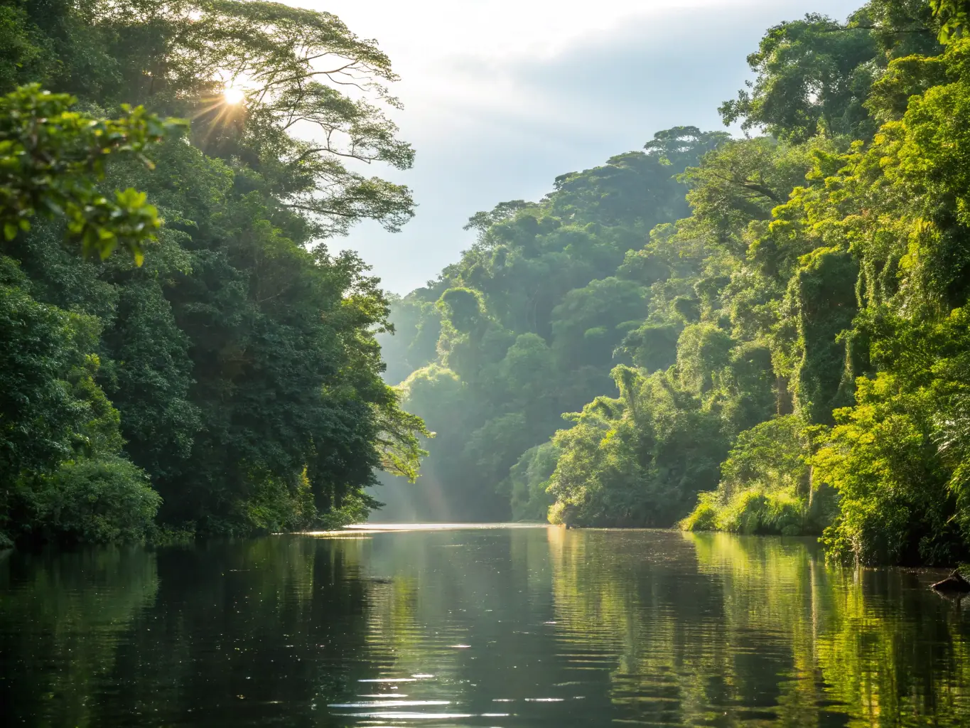 A tranquil scene of a boat navigating through the Amazon rainforest, with lush greenery and diverse wildlife visible along the riverbanks. The image should evoke a sense of serenity and natural beauty, representing the Waterways edition of Escape and Explore.